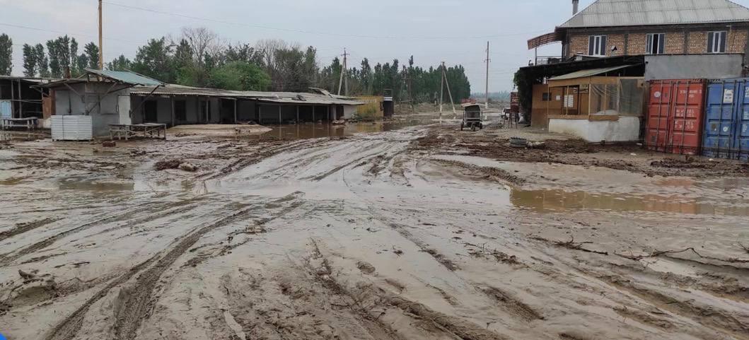 ӨКМ шашылыш билдирүү таратты
&nbsp;