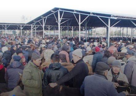 Токмоктогу мал базар 1-январдан тарта жабылат