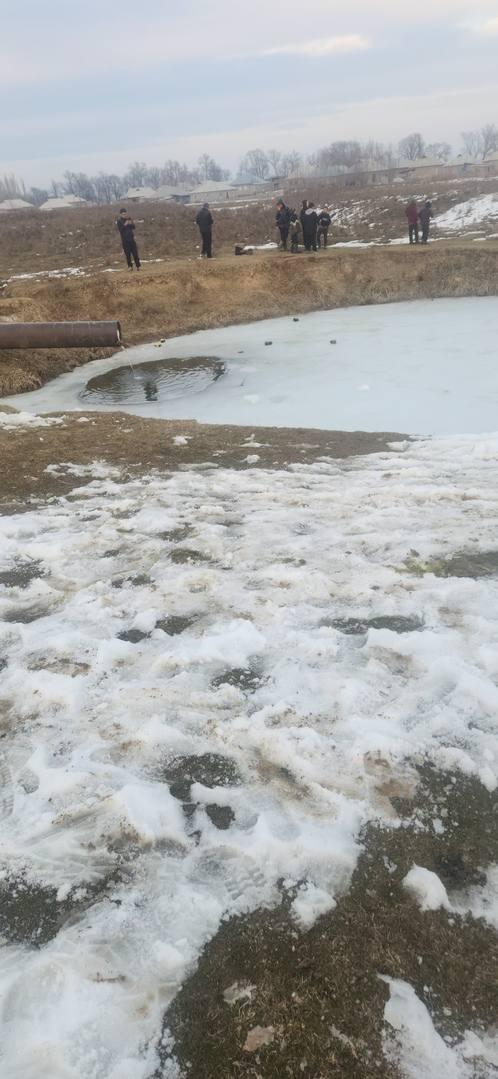 Сокулукта төрт жаштагы үч наристе сууга чөгүп чарчап калды