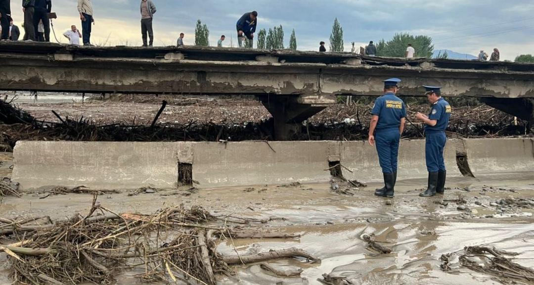 В Ноокатском районе введен режим ЧС