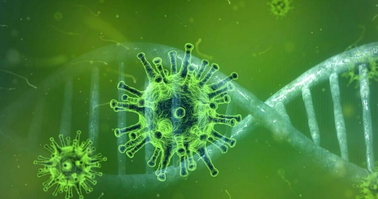 По миру распространяется &nbsp;новый вариант коронавируса XEC&nbsp;