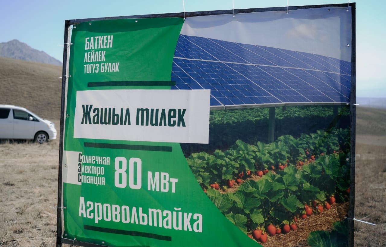 Күн панелдери астына клубника да өстүрөбүз. Баткенде уникалдуу "Агровольтайка" долбооруна старт берилди. 
&nbsp;